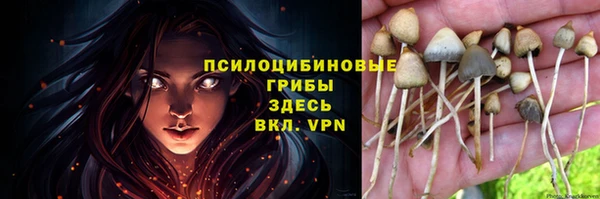сатива Алзамай