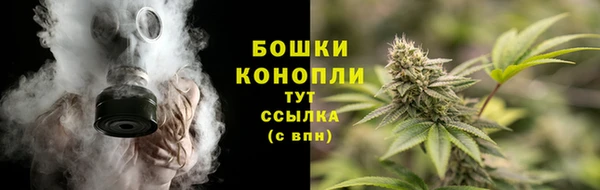 ГАЛЛЮЦИНОГЕННЫЕ ГРИБЫ Алексеевка