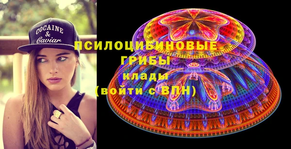 ГАЛЛЮЦИНОГЕННЫЕ ГРИБЫ Алексеевка