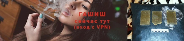 сатива Алзамай