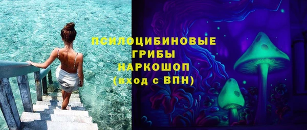 ГАЛЛЮЦИНОГЕННЫЕ ГРИБЫ Алексеевка