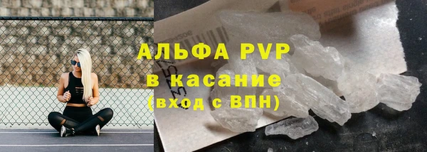 сатива Алзамай