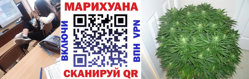 Марихуана Amnesia  закладка  Москва 